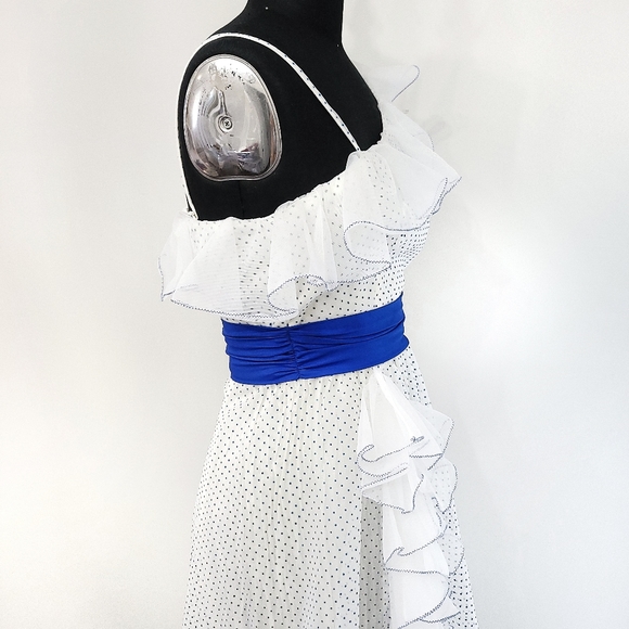 Vintage Bridgerton Maxamilist Swiss Dot Assymetric Ruffle Maxi Dress - Picture 9 of 14